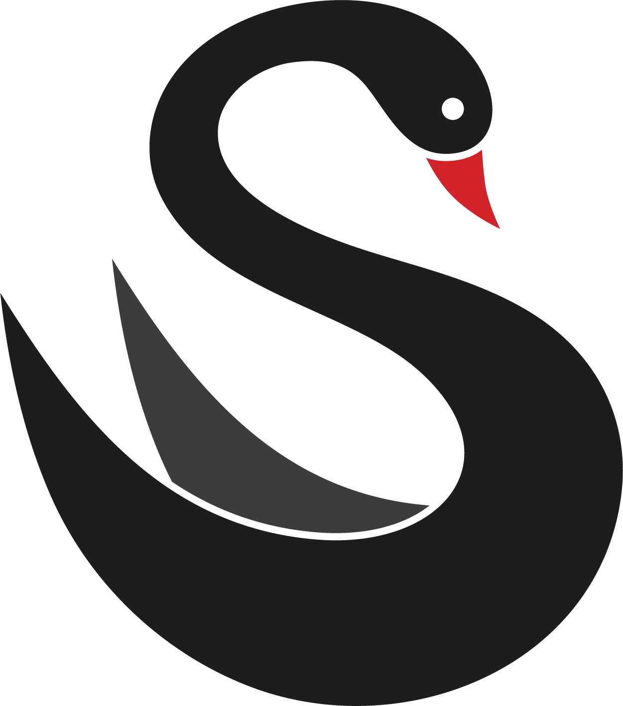 The Black Swan - Business-Coaching
